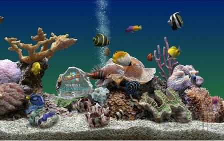 3D热带鱼水族箱屏保,3D热带鱼水族箱屏保下载,3D热带鱼水族箱屏保官方下载