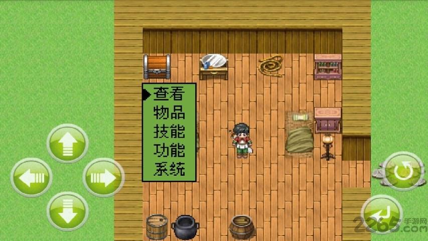 白金英雄坛2最新破解版下载,白金英雄坛,复古游戏,rpg游戏